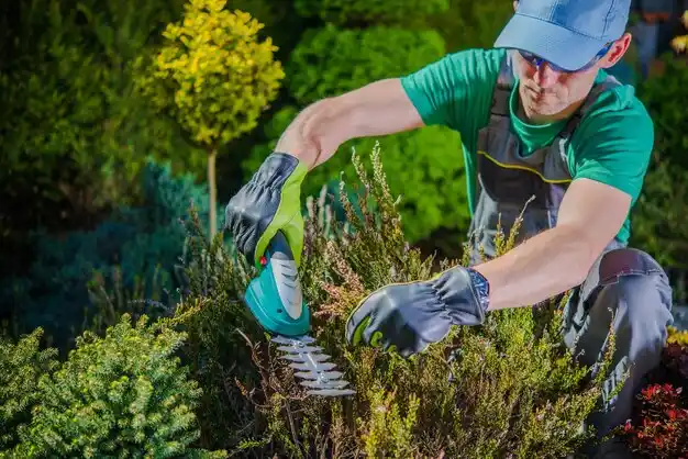landscaping services Killbuck